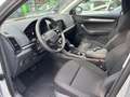 Skoda Karoq Tour 1.5 TSI 110 KW DSG Navi AHK Fahrassis Silber - thumbnail 9