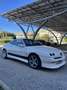 Alfa Romeo GTV 2.0 16v ts Lusso c/pelle Momo - thumbnail 2