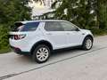 Land Rover Discovery Sport Discovery Sport 2,0 eD4 HSE Luxury e-Capability HSE Luxury Weiß - thumbnail 11