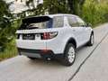 Land Rover Discovery Sport Discovery Sport 2,0 eD4 HSE Luxury e-Capability HSE Luxury Weiß - thumbnail 10