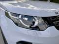 Land Rover Discovery Sport Discovery Sport 2,0 eD4 HSE Luxury e-Capability HSE Luxury Weiß - thumbnail 15