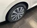 Skoda Superb 1.5 TSI Combi Ambition DSG*Navi* Blanc - thumbnail 29