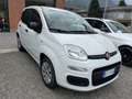Fiat Panda Panda 2020 1.2 Pop s Bianco - thumbnail 3