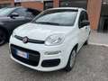Fiat Panda Panda 2020 1.2 Pop s Bianco - thumbnail 1