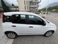 Fiat Panda Panda 2020 1.2 Pop s Bianco - thumbnail 11