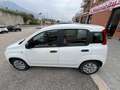 Fiat Panda Panda 2020 1.2 Pop s Bianco - thumbnail 14