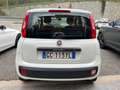 Fiat Panda Panda 2020 1.2 Pop s Bianco - thumbnail 5