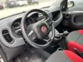 Fiat Panda Panda 2020 1.2 Pop s Bianco - thumbnail 8