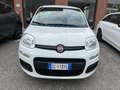 Fiat Panda Panda 2020 1.2 Pop s Bianco - thumbnail 2