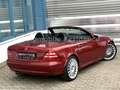Mercedes-Benz SLK 230 Kompressor AUT.*LEDER*SHZ*KLIMA*18Z*TOP* Rot - thumbnail 7