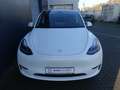 Tesla Model Y Basis RWD SR LED PANO PDC SHZ Weiß - thumbnail 10