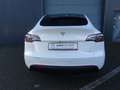 Tesla Model Y Basis RWD SR LED PANO PDC SHZ Weiß - thumbnail 11