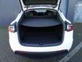 Tesla Model Y Basis RWD SR LED PANO PDC SHZ Weiß - thumbnail 12