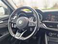 Alfa Romeo Stelvio 2.2 t Business rwd 160cv Groen - thumbnail 14