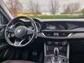 Alfa Romeo Stelvio 2.2 t Business rwd 160cv Groen - thumbnail 13
