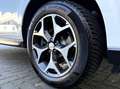 Subaru Forester 2.0 XT Sport Executive Schuif-/Kanteldak - Navigat Wit - thumbnail 7