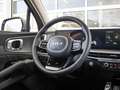 Kia Sorento 1.6 T-GDi Plug-in Hybrid 4WD DynamicPlusLine 7p. B Bruin - thumbnail 14