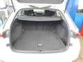 Skoda Octavia Combi Scout 4x4 *19Zoll*AHK*Standhzg*HUD*KAMERA* Biały - thumbnail 10