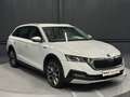 Skoda Octavia Combi Scout 4x4 *19Zoll*AHK*Standhzg*HUD*KAMERA* Wit - thumbnail 7