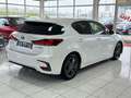 Lexus CT 200h +KeylessGo+SpurAss+Navi+Kamera+Xenon+TOP! Weiß - thumbnail 5