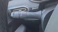 Dacia Jogger Extreme TCe 110 +AHK Braun - thumbnail 21