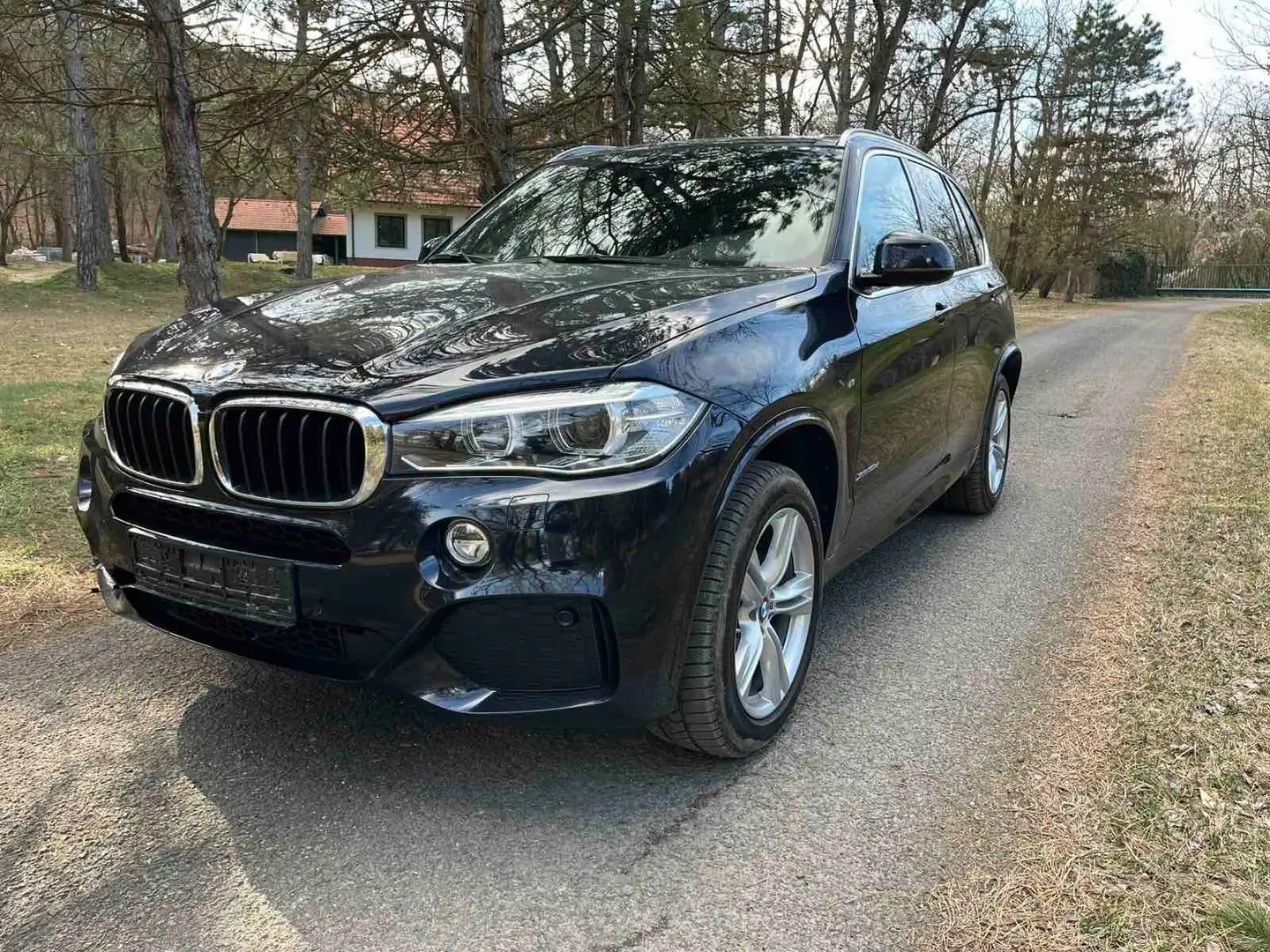 BMW X5 xDrive 30 d M Paket STZH Kamera Leder Isofix Schwarz - 1