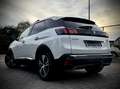 Peugeot 3008 GT HYBRID 225 E EAT 8 Weiß - thumbnail 13