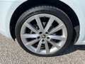 Skoda Octavia Ambition TDI DSG Weiß - thumbnail 5