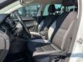 Skoda Octavia Ambition TDI DSG Weiß - thumbnail 6