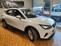 SEAT Arona 2024 AUTOMATICA BENZINA DA 110 CV Blanc - thumbnail 3