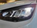 SEAT Arona 2024 AUTOMATICA BENZINA DA 110 CV Blanc - thumbnail 5