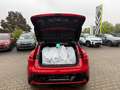 Renault Megane Techno 220 Optimum Charge Kamera 20" Alu Navi WR Rojo - thumbnail 6
