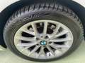 BMW 120 D Sport 190 CV 5 Porte Auto Tetto Navi Distronic Білий - thumbnail 15
