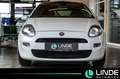 Fiat Punto More |KLIMA|PANO.|PDC|16 ALU Weiß - thumbnail 7