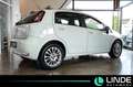 Fiat Punto More |KLIMA|PANO.|PDC|16 ALU Weiß - thumbnail 5