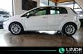 Fiat Punto More |KLIMA|PANO.|PDC|16 ALU Weiß - thumbnail 4