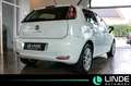Fiat Punto More |KLIMA|PANO.|PDC|16 ALU Weiß - thumbnail 6