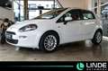 Fiat Punto More |KLIMA|PANO.|PDC|16 ALU Weiß - thumbnail 1