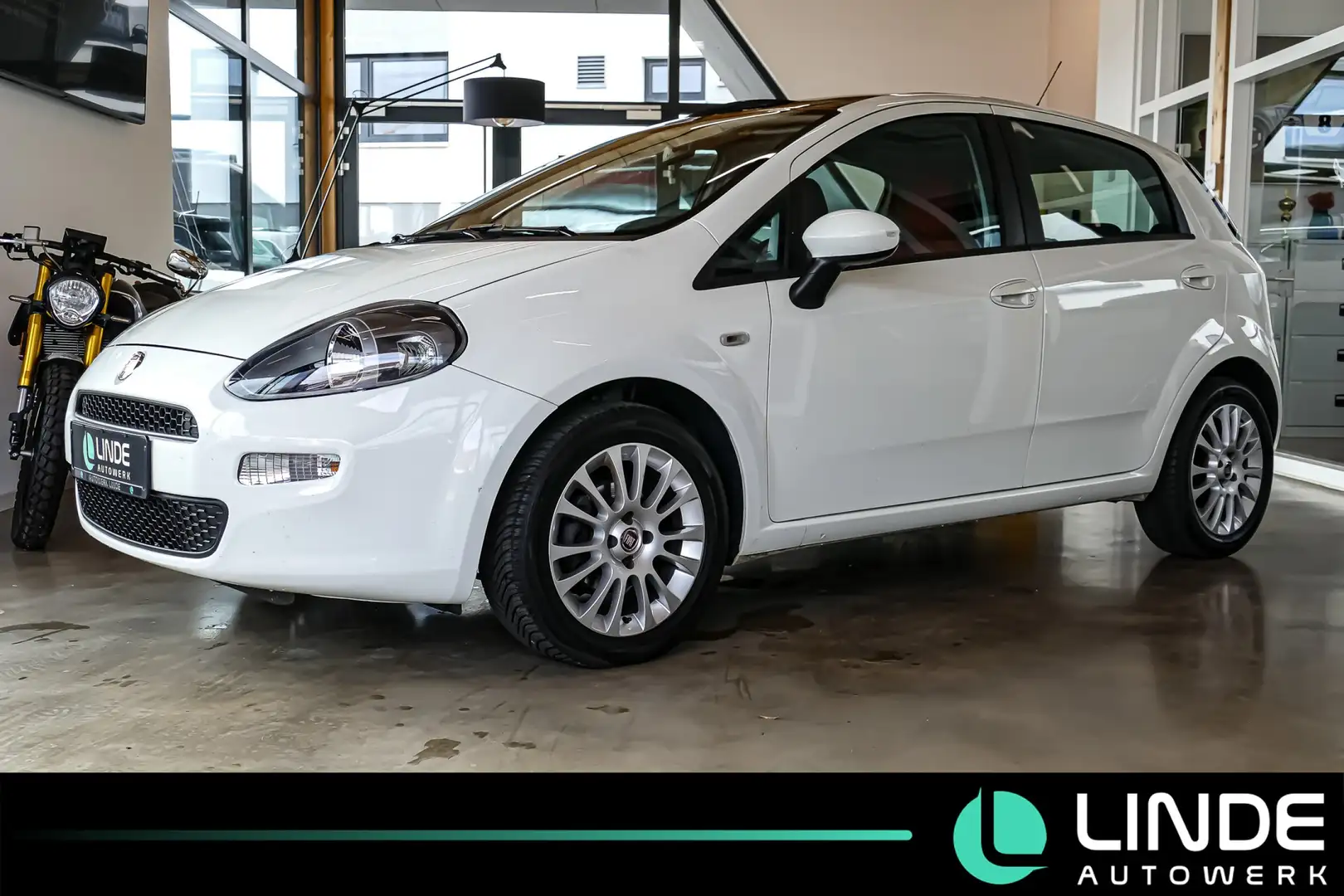 Fiat Punto More |KLIMA|PANO.|PDC|16 ALU Weiß - 1
