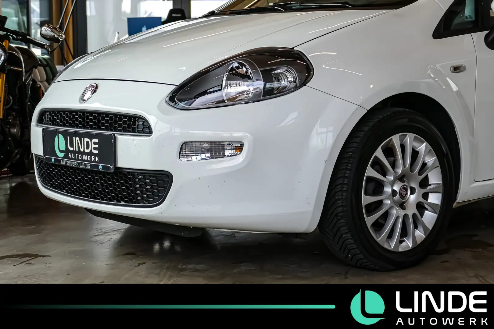Fiat Punto More |KLIMA|PANO.|PDC|16 ALU Weiß - 2