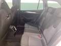 Skoda Octavia Style 1,5l TSI M-HEV * PANO RFK SHZ* Blanc - thumbnail 7