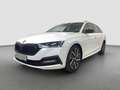 Skoda Octavia Style 1,5l TSI M-HEV * PANO RFK SHZ* Blanc - thumbnail 11