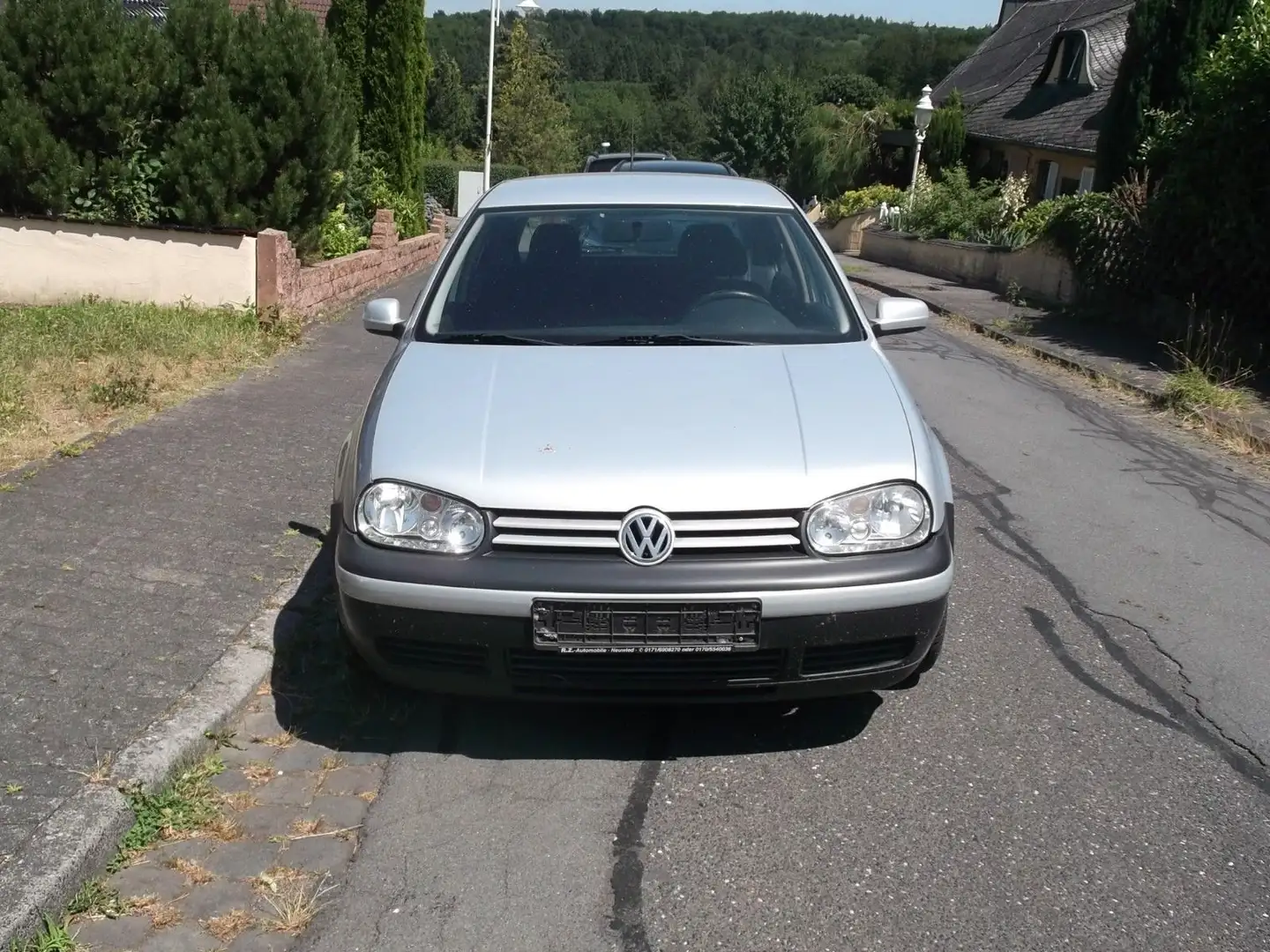 Volkswagen Golf Argento - 1