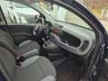 Fiat Sonstige FIAT Panda 1.2 EASY Braun - thumbnail 9