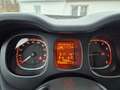 Fiat Sonstige FIAT Panda 1.2 EASY Braun - thumbnail 13