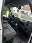Renault Master L3H2 Kastenwagen 136ps - thumbnail 5
