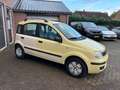 Fiat Panda 1.1 Active Plus nieuwe APK Gelb - thumbnail 5