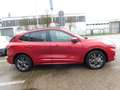 Ford Kuga Plug-In Hybrid ST-Line X AHK/HeadUp Rot - thumbnail 4