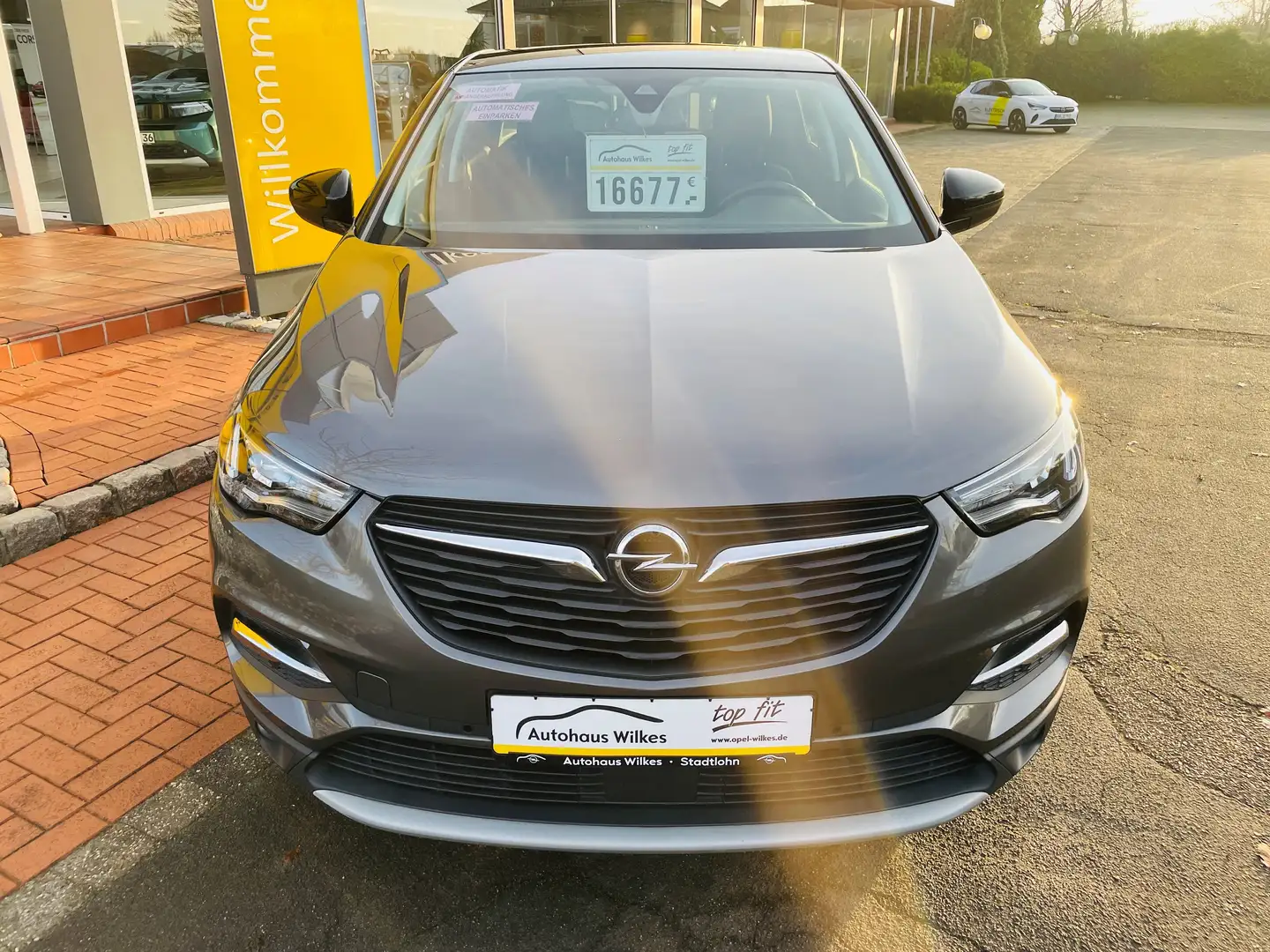 Opel Grandland X Design Line *AUTOMATIK* Grau - 2