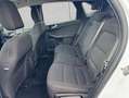 Ford Kuga 2.5 Duratec PHEV TITANIUM Weiß - thumbnail 13